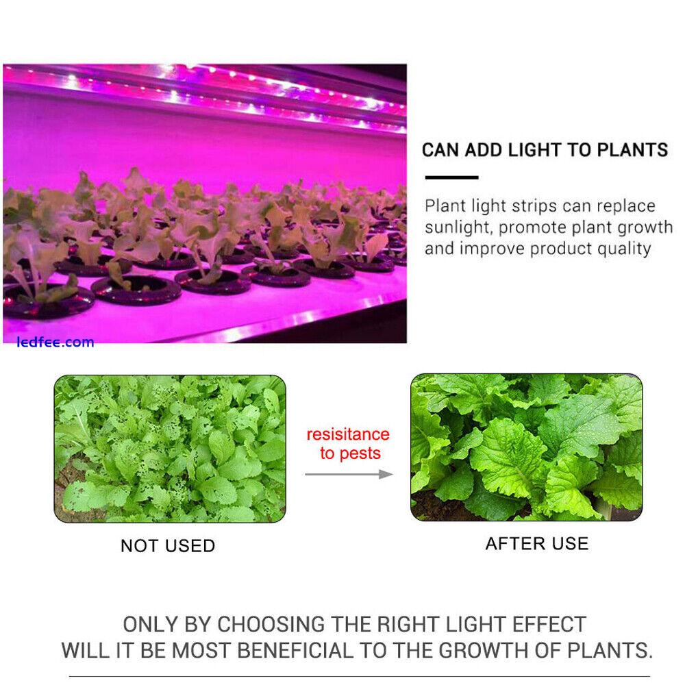 Full Spectrum red blue LED Strip Grow Light Hydroponic Greenhouse Veg Plant Lamp 3 