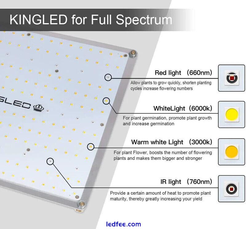 2000W Full Spectrum Quantum Board Professional LED Grow Light with Samsung Chip 2 