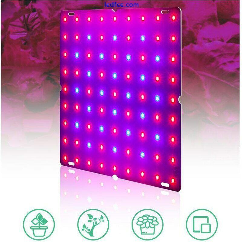 81/169/256/225 LED Full Spectrum Grow light plant lamp indoor hydroponic Tent 5 