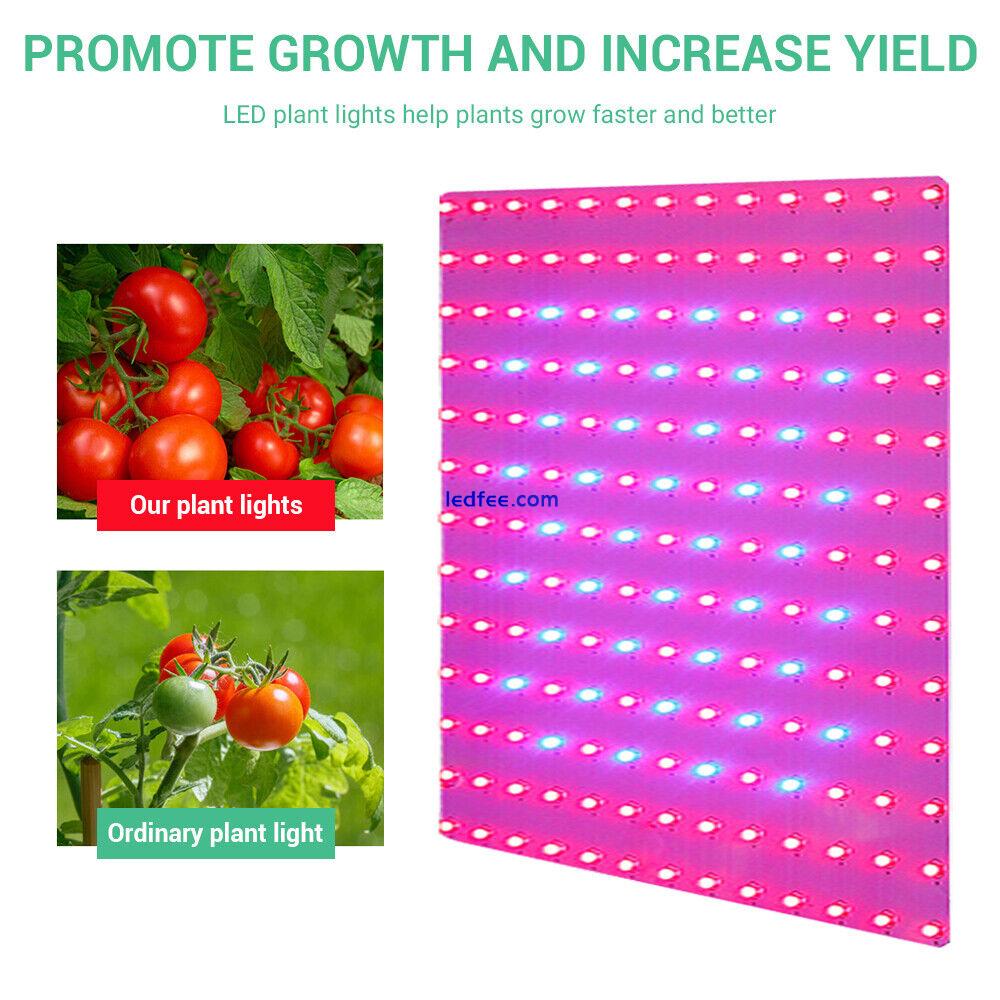 169 Full Spectrum Plant LEDs UV Grow Lights Indoor Hydroponic Plant Veg Growth 2 