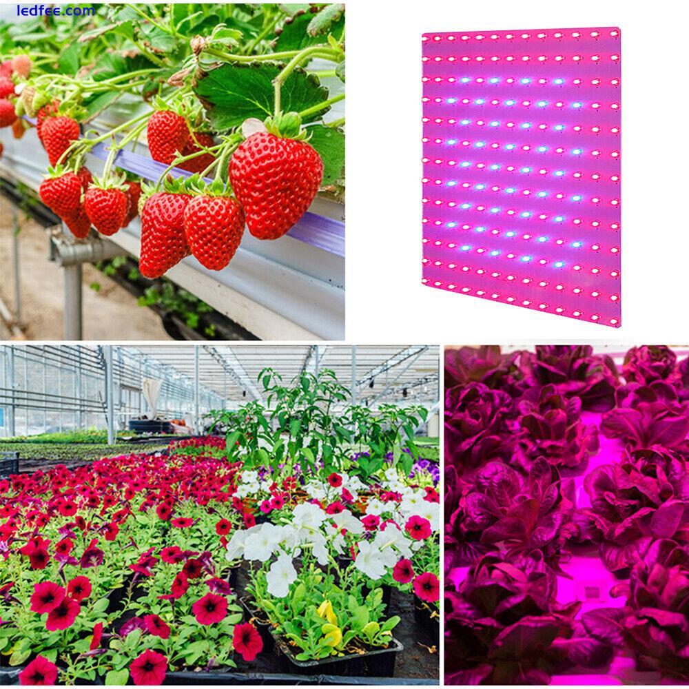 169 Full Spectrum Plant LEDs UV Grow Lights Indoor Hydroponic Plant Veg Growth 3 