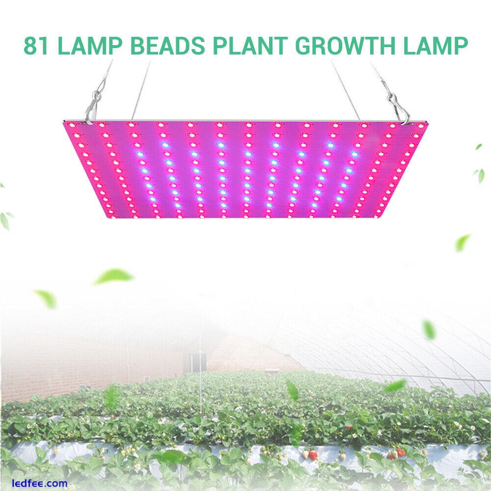 169 Full Spectrum Plant LEDs UV Grow Lights Indoor Hydroponic Plant Veg Growth 0 