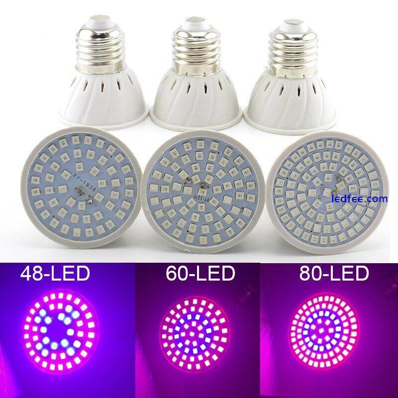 Full Spectrum E27 300 LED Growing Lights Bulb Lamp for Hydroponic Indoor Plant 1 