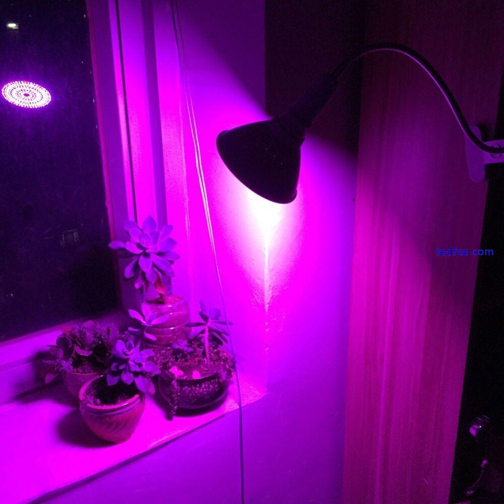 For Indoor Plant Flower Grow Light Room box Red Blue veg Lamp tent Growing 3 