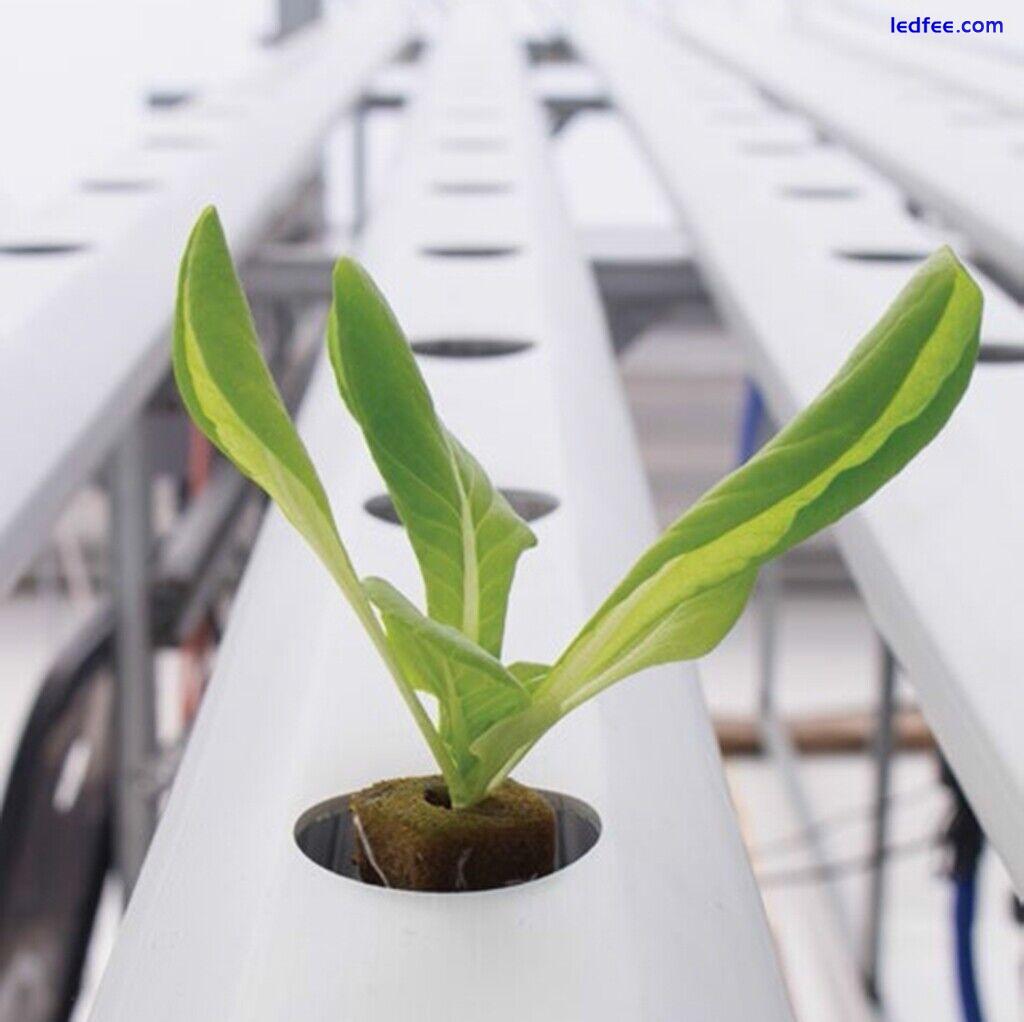 120cm full spectrum hydroponics plant LED grow lights High Grade Top Quality 5 