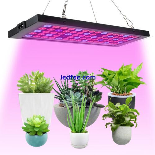 3000W LED Grow Light Full Spectrum Growing Lamp For All Indoor Plant Veg Flower 1 