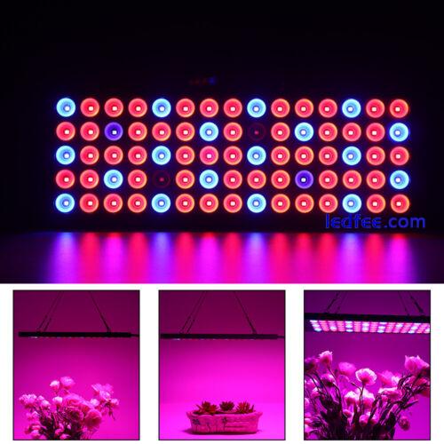 3000W LED Grow Light Full Spectrum Growing Lamp For All Indoor Plant Veg Flower 4 