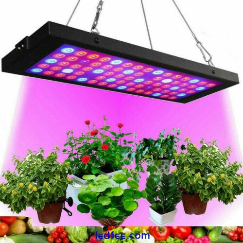 3000W LED Grow Light Full Spectrum Growing Lamp For All Indoor Plant Veg Flower 0 