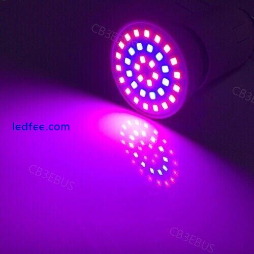 36 54 72 LED Plant Grow Light E27 Lamps for Plants Flower Greenhouse Hydro CB3 3 