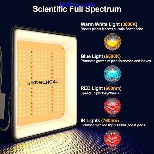  KT 600W LED Grow Light Use with LM301B LEDs Sunlike Full Spectrum Grow Lights  0 