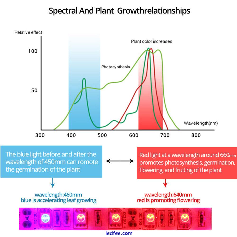 Led Grow Strip Full Spectrum Light Red Blue Growing LED Phyto Hydroponics Plants 4 