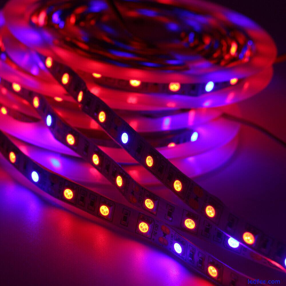 Led Grow Strip Full Spectrum Light Red Blue Growing LED Phyto Hydroponics Plants 3 