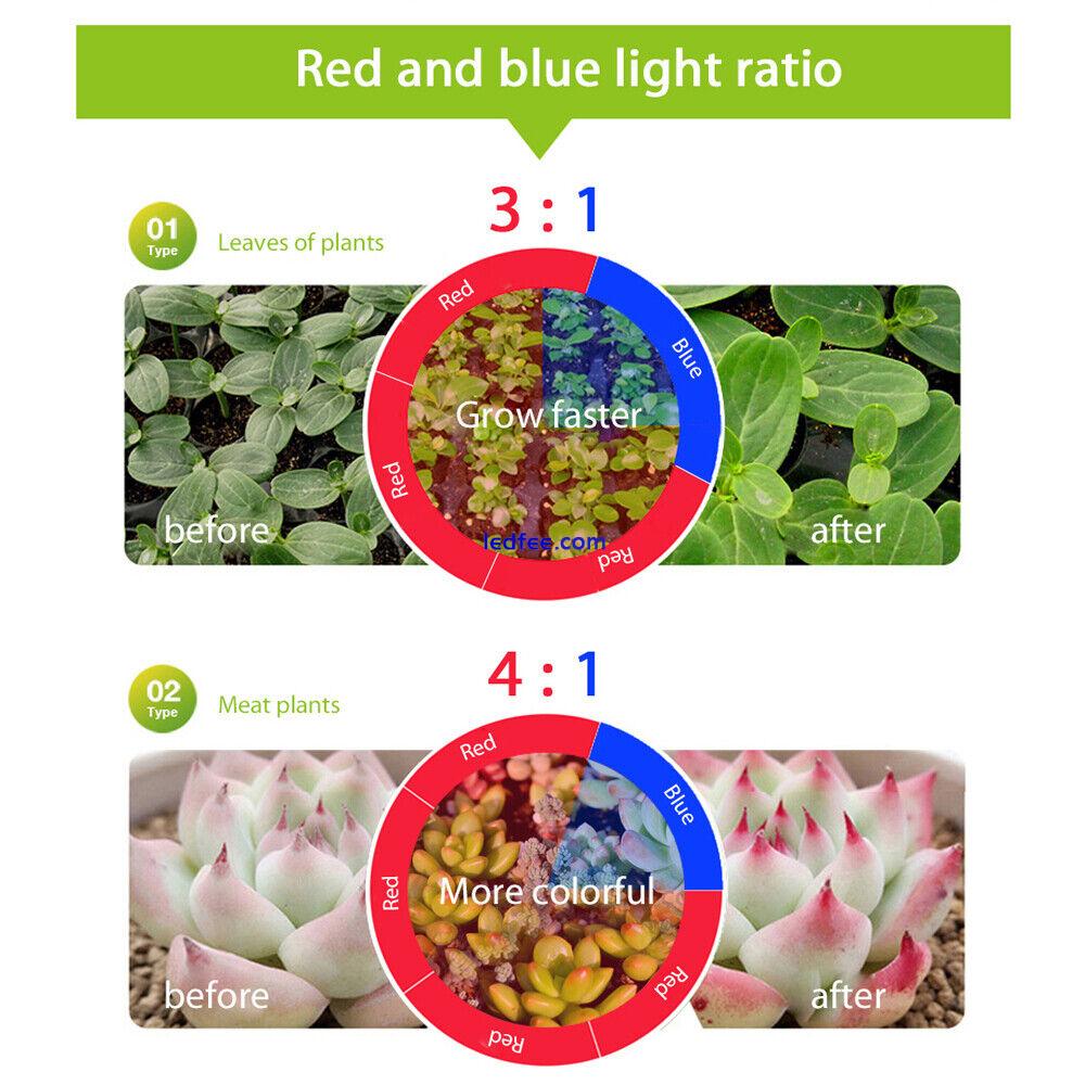 Led Grow Strip Full Spectrum Light Red Blue Growing LED Phyto Hydroponics Plants 5 