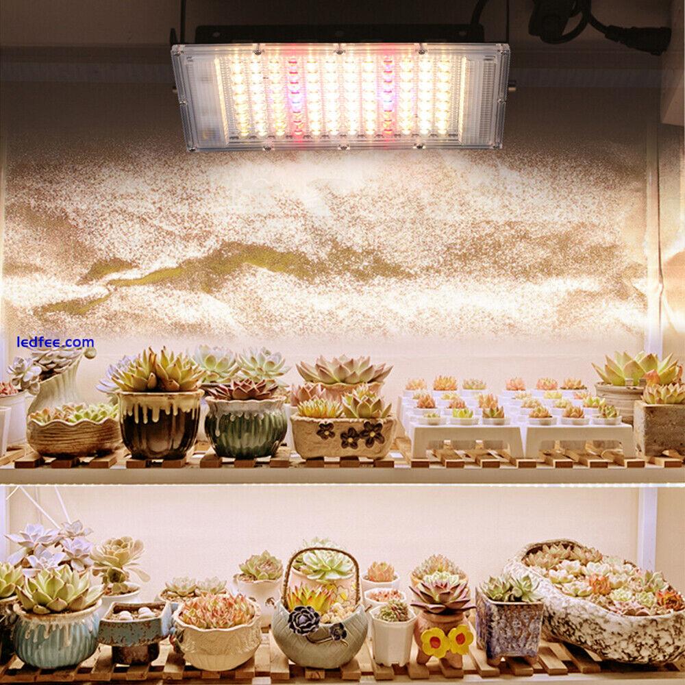 100W LED Grow Light With Stand Full Spectrum Sunlike LED Phyto Growth Lighting 1 