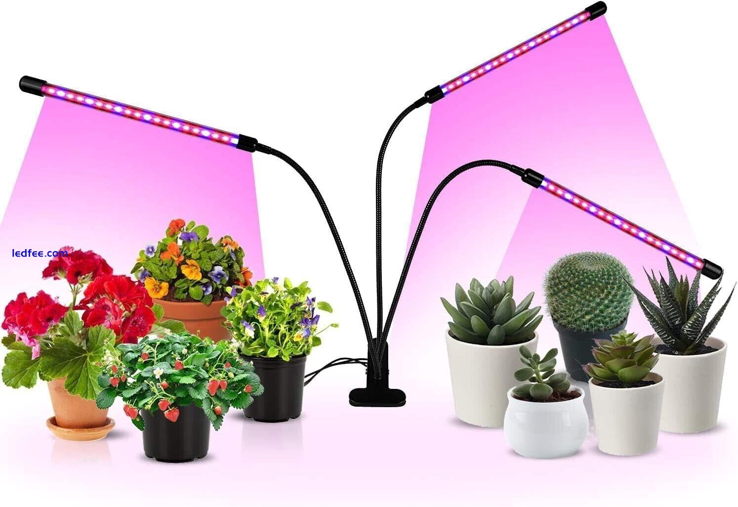 LED Grow Light Plant Growing Lamp Full Spectrum for Indoor Plants Hydroponics 4 