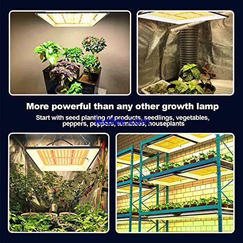  KT 600W LED Grow Light Use with LM301B LEDs Sunlike Full Spectrum Grow Lights  1 