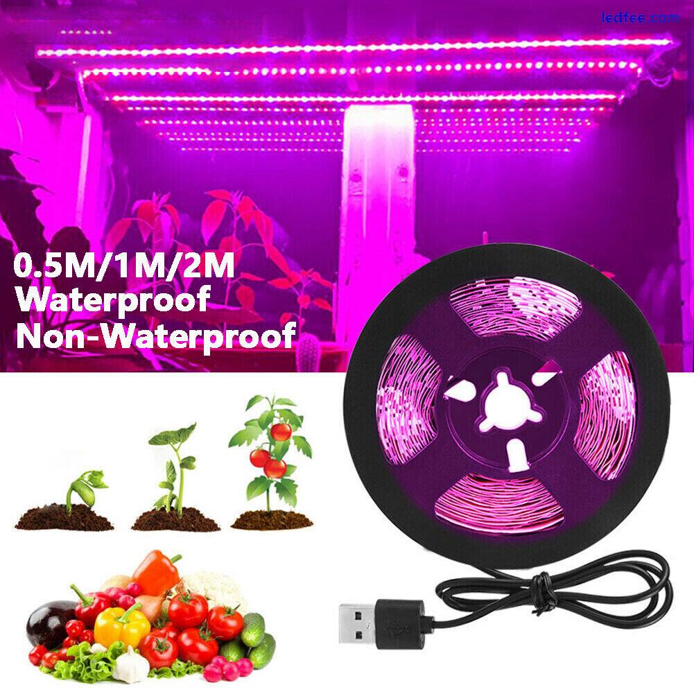 16.4FT 2M USB LED Grow Light Strip Full Spectrum Strip Indoor Plant Growing Lamp 0 
