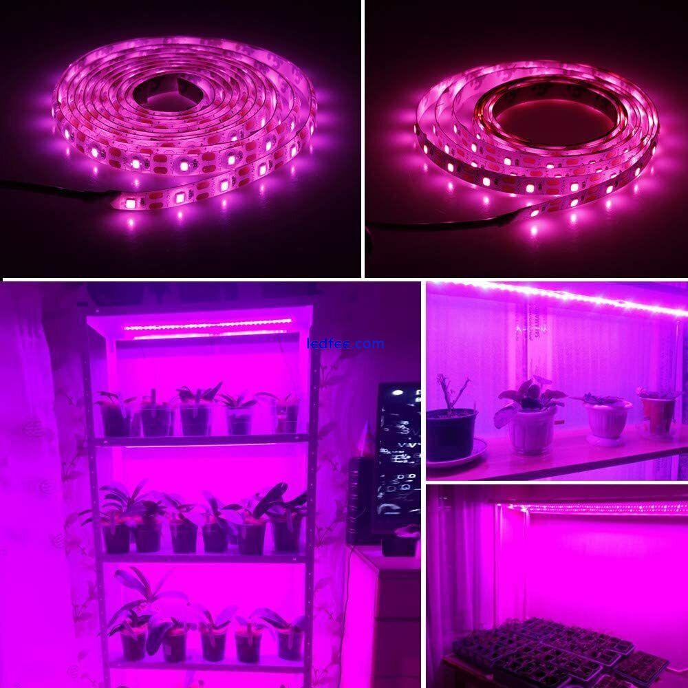 16.4FT 2M USB LED Grow Light Strip Full Spectrum Strip Indoor Plant Growing Lamp 1 