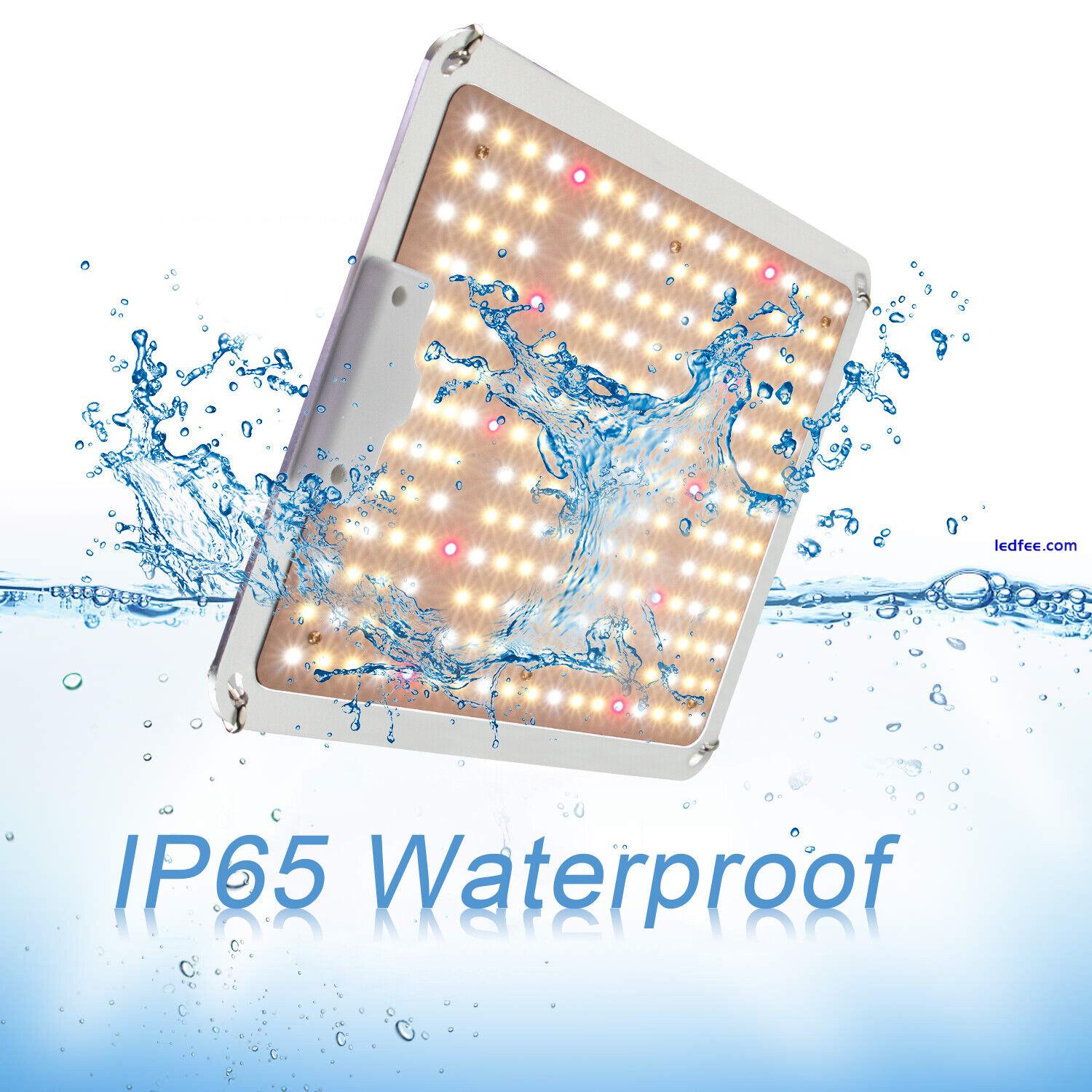 Waterproof IP65 QB1000 Hydroponic Plant Growing light lm301b 1000W LED Grow Lamp 2 
