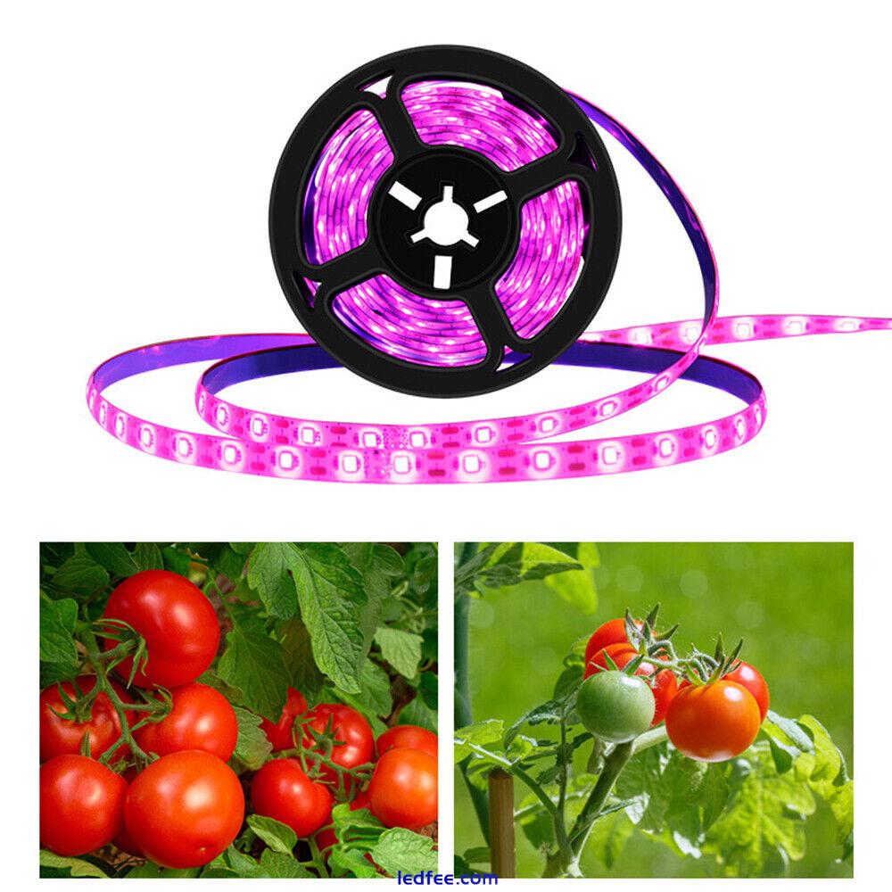 USB Growing Light LED Strip Grow Lamp Hydroponic Dimmable Indoor Plant Flowering 0 