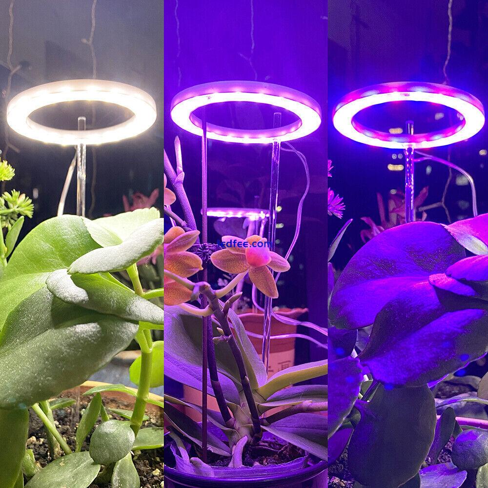 80 LED Plant Halo Light Full Spectrum Indoor Veg Growing Dimmable Ring Grow Lamp 1 