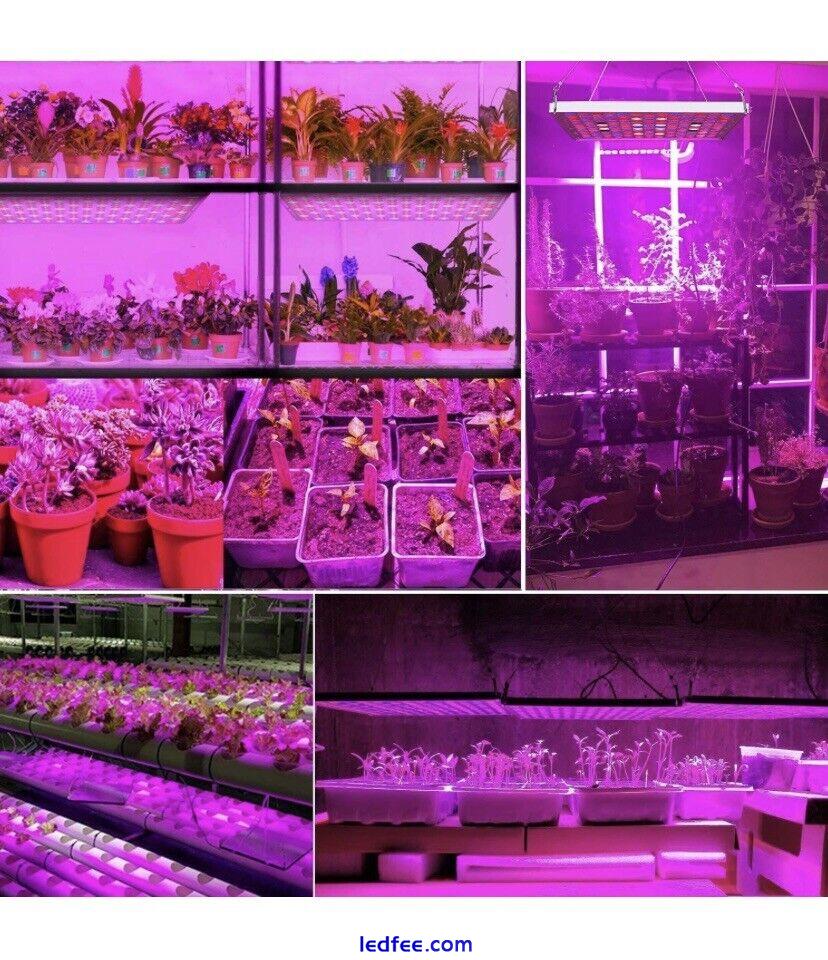 LED Grow Light, 75W Full Spectrum Plant Light with Red Blue White Light 3 