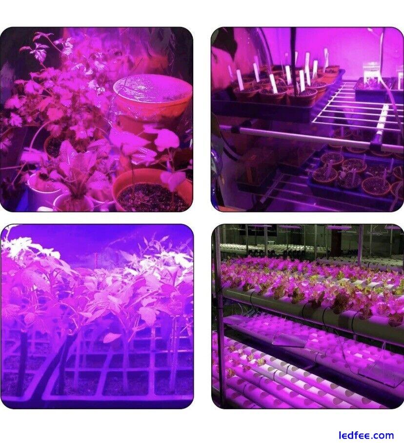 LED Grow Light, 75W Full Spectrum Plant Light with Red Blue White Light 5 