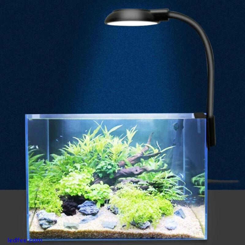 USB 5w LED AQUARIUM CLIP ON LED LIGHT UNIT BLUE & WHITE LED FISH TANK MINI LIGHT 4 