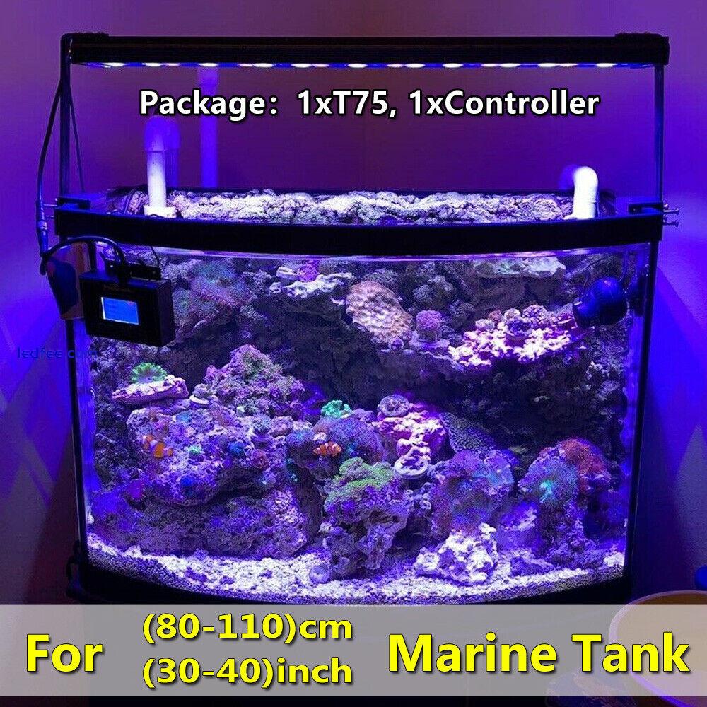 PopBloom Led Aquarium Light Full Spectrum For 36
