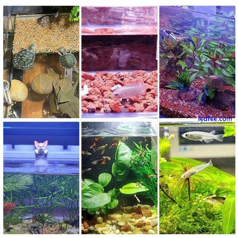 Saltwater Fish Tanks LED Aquarium Light Clip-on for Grow Coral Plant 4 