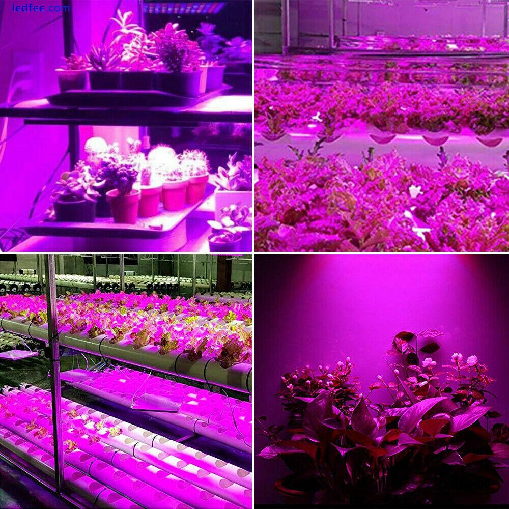 1000W LED Grow Light for Indoor Plants Growing Lamp 225 LED Full Spectrum Lights 2 