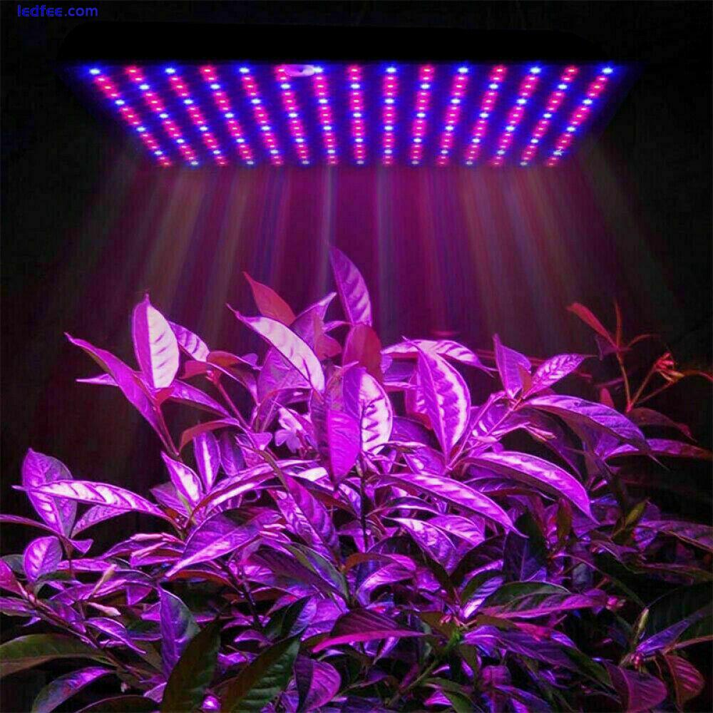1000W LED Grow Light for Indoor Plants Growing Lamp 225 LED Full Spectrum Lights 1 