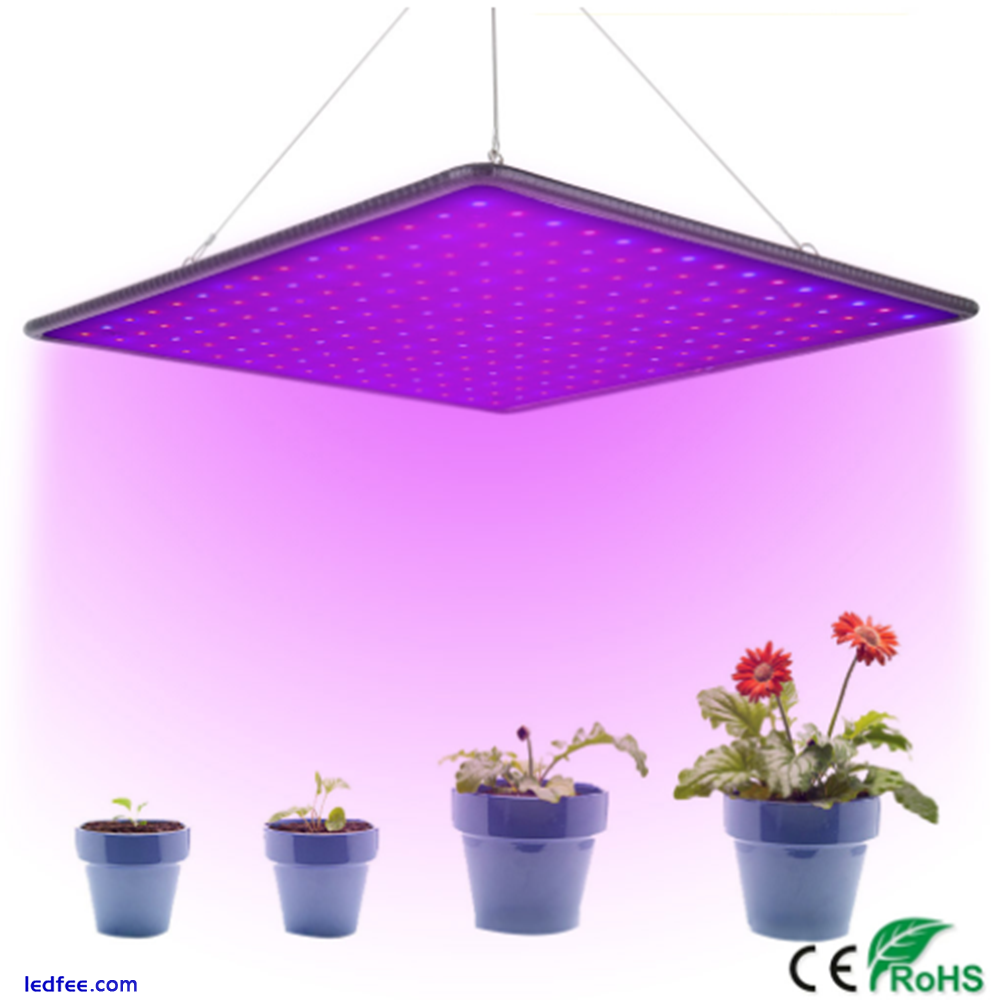 1000W LED Grow Light for Indoor Plants Growing Lamp 225 LED Full Spectrum Lights 0 