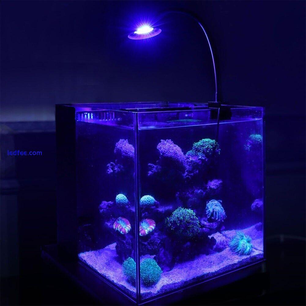 Marine Aquarium Saltwater Clip-on Spectrum  Fish Tank Led Light with Timer 5 