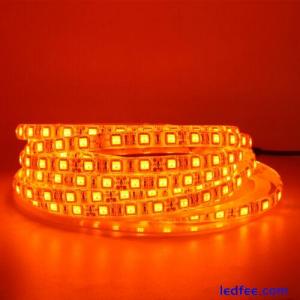 LED Flexible Strip Light 5050 SMD reel Orange 5M Waterproof string tape lamp 12V