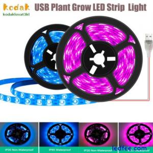 LED Plant Grow Strip Light Touch Switch USB Power Waterproof Flower Indoor Lamp
