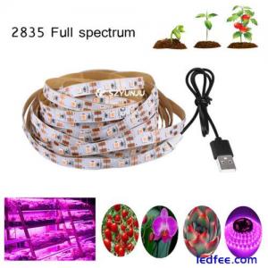 DC5V LED Grow Light Full Spectrum USB LED Strip Light 2835 LED For Plant Growing
