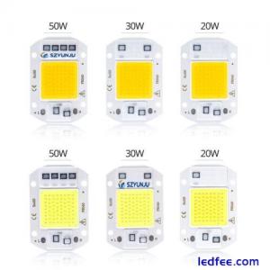 COB LED Lamp Chip 50W 30W 20W 110V 220V DIY LED Bulb Flood Light Diode Spotlight