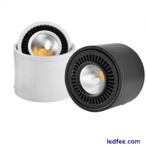 LED COB Ceiling Lamp Picture Spotlight Dimmable/N Light Adjustable Downlight Bar
