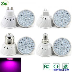 E27/GU10/MR16 48/60/80 LED Grow Lights Full Spectrum Plant Bulb Hydroponic Lamp