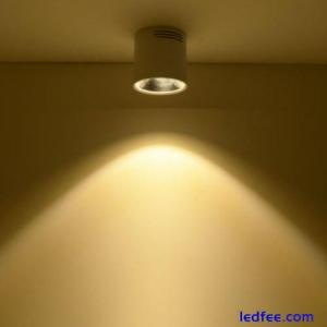 Dimmable/N LED COB Ceiling Lamp Picture Light Fixture Indoor Downlight Corridor