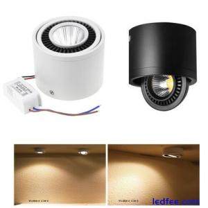 Surface mounted LED Ceiling Do...