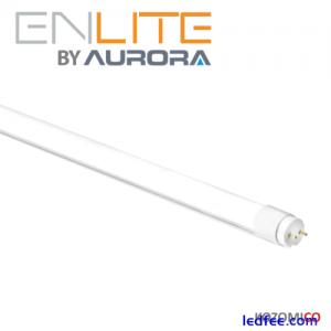 ENLITE T8 LED TUBE LIGHT 2ft 60cm 10 Watt 820 lumens cool white free starter G13