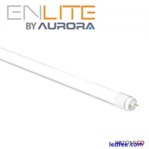 ENLITE T8 LED TUBE LIGHT 2ft 6...