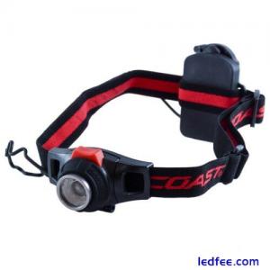 COAST Head Torch 315 Lumens 10...