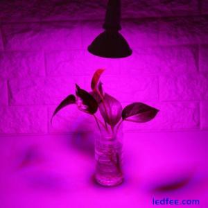 24W 200-LED Plant Grow Light E27 Hydroponic Flower Veg Growing Lamps 85~265V