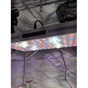 Phlizon 2000W 4 COB LED Grow Light