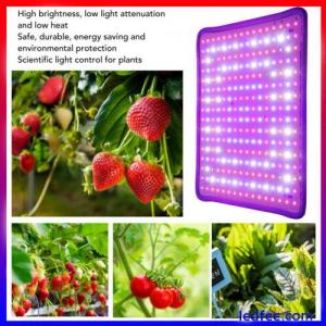 1000W Pflanzenlampe Vollspektrum Pflanzenlicht Wachstumslampe LED Grow Light