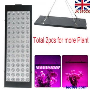2pcs 5000W LED Grow Light Hydroponic Full Spectrum Indoor Veg Flower Plant Lamp