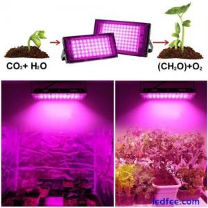 100W Full Spectrum AC220V LED Grow Light Bulb Lamp for Veg Bloom Indoor Plant